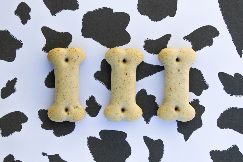 Easy DIY Recipes for Doggy Treats